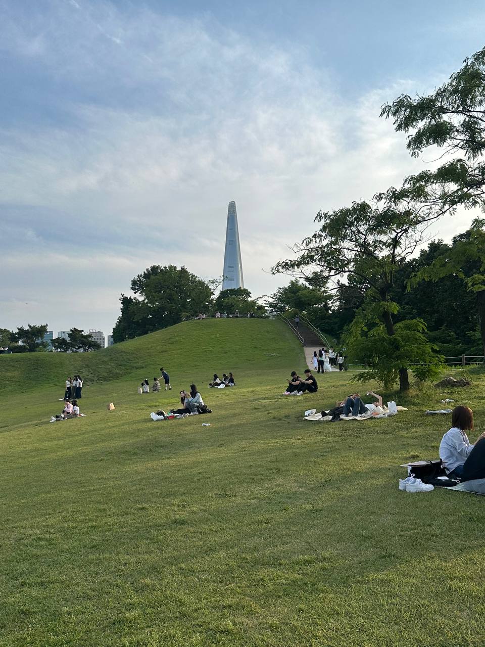 picniccuuu.jpg
